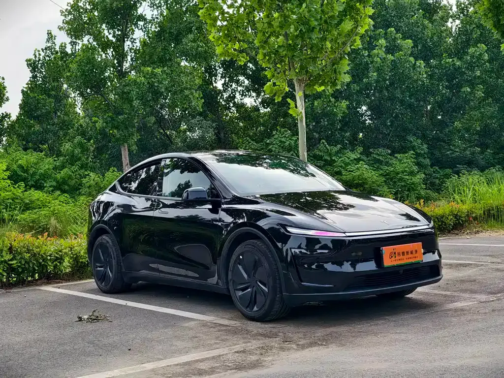 Tesla Model Y — фото 10