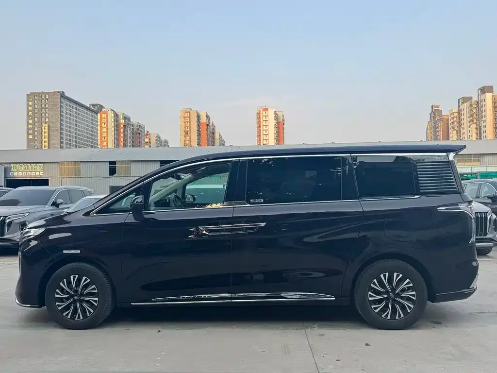 Hongqi HQ9 PHEV 2024 из CN, фото 6