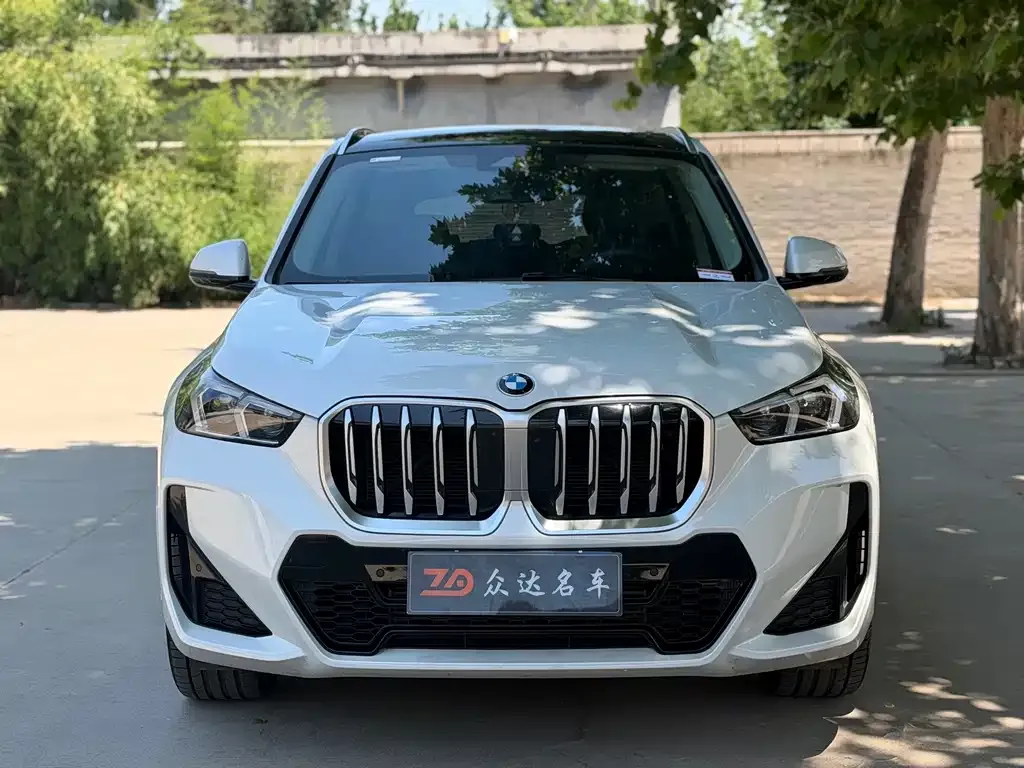 BMW X1 2023 из CN, фото 8
