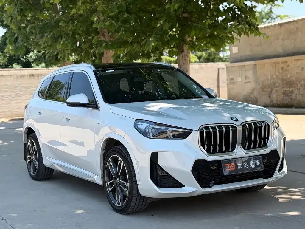 BMW X1 2023 из CN, фото 9