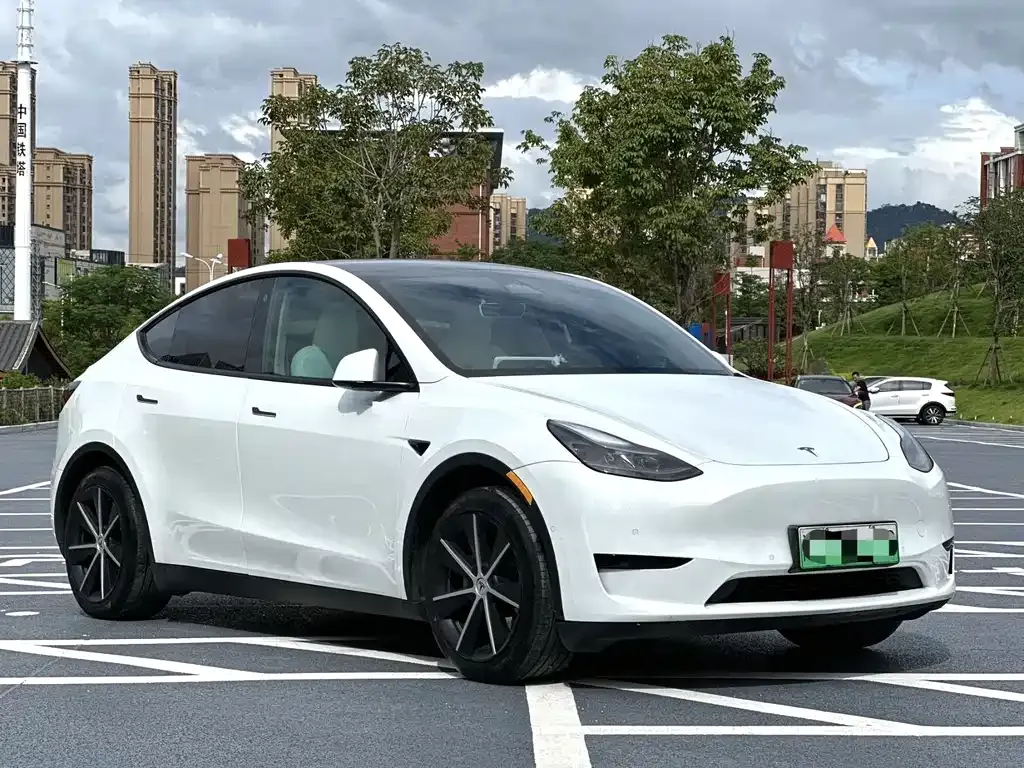 Tesla Model Y — фото 10