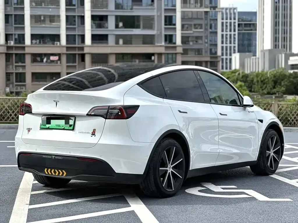 Tesla Model Y — фото 8