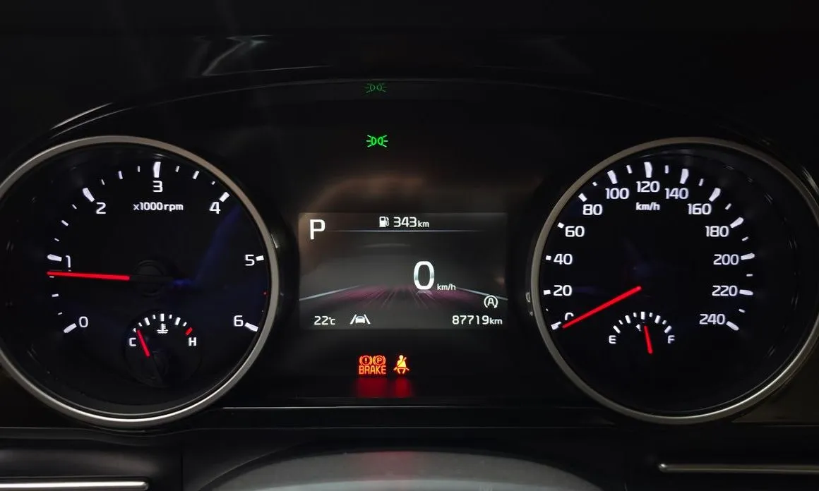 Kia Carnival 2021 из KR, фото 2