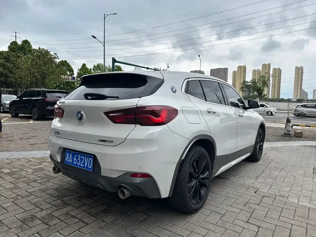 BMW X2 2023 из CN, фото 10