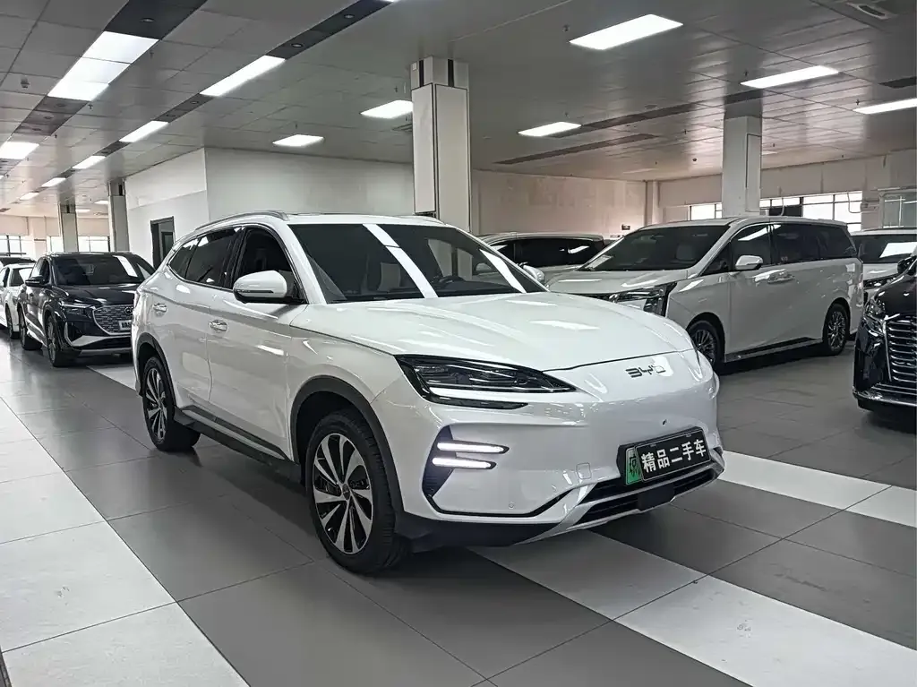 BYD PLUS New Energy — фото 6