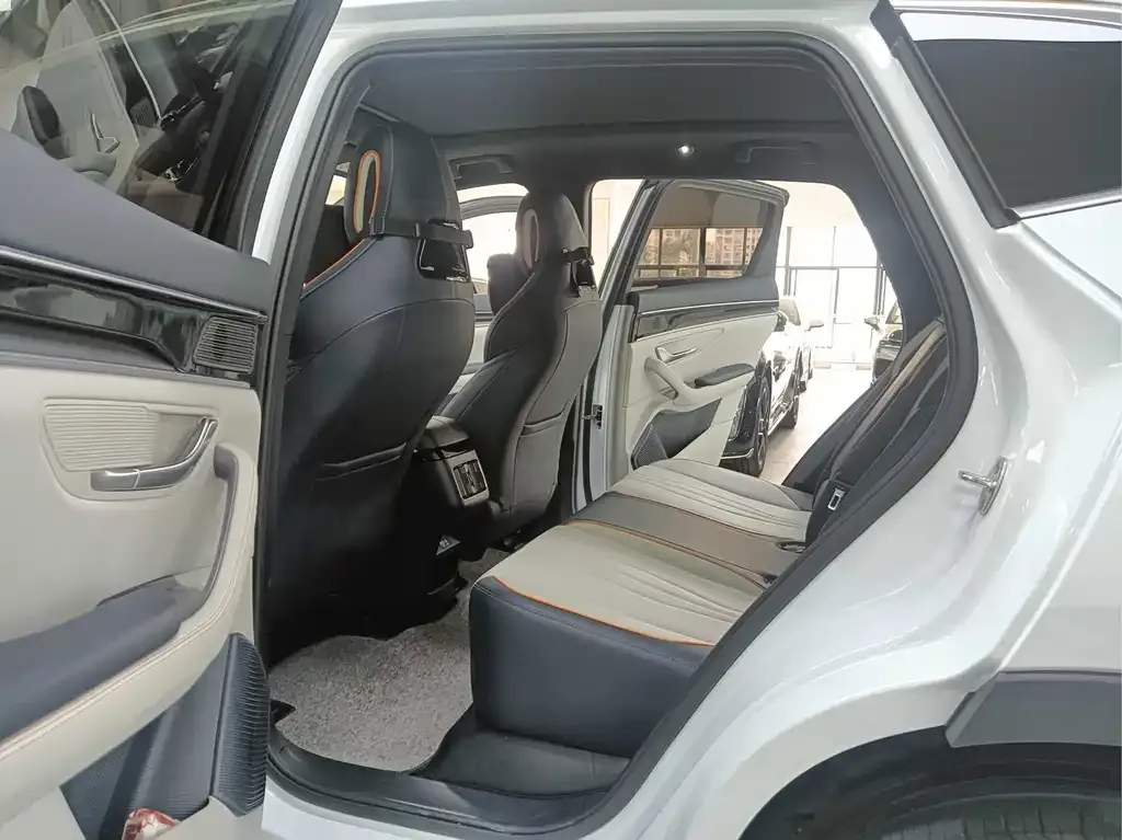 BYD PLUS New Energy — фото 10
