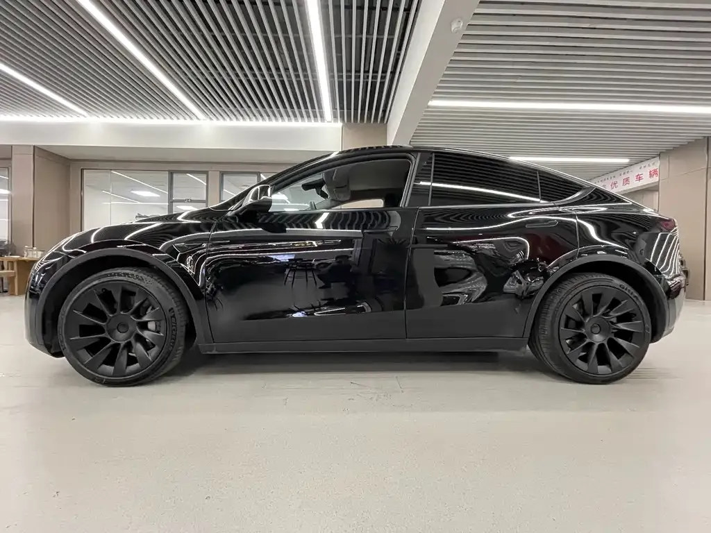 Tesla Model Y 2021 из CN, фото 8