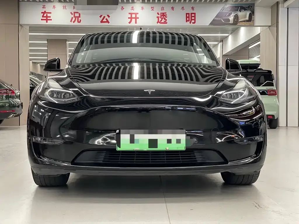 Tesla Model Y 2021 из CN, фото 7