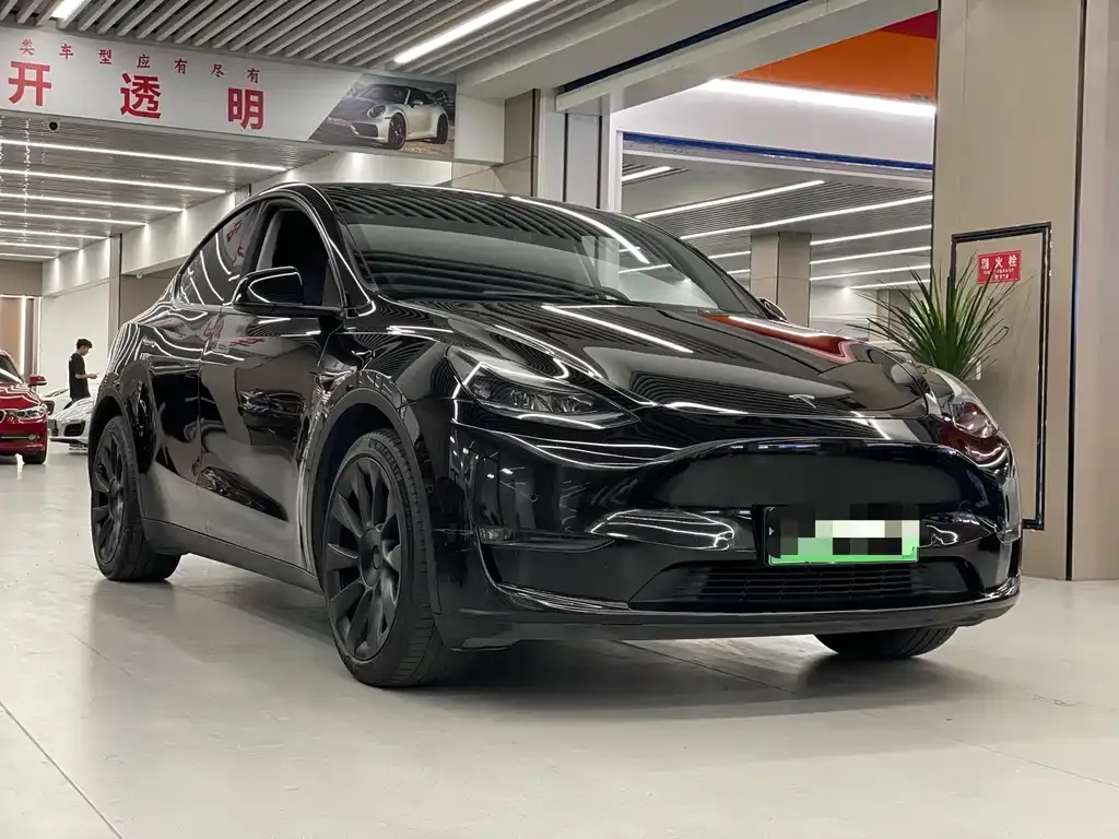 Tesla Model Y 2021 из CN, фото 6