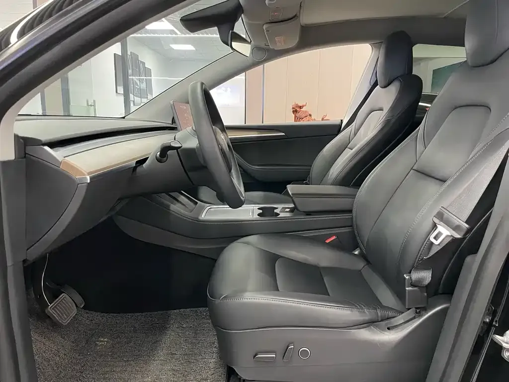 Tesla Model Y 2021 из CN, фото 9