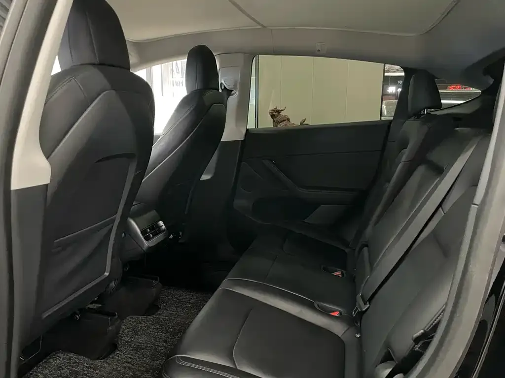 Tesla Model Y 2021 из CN, фото 2