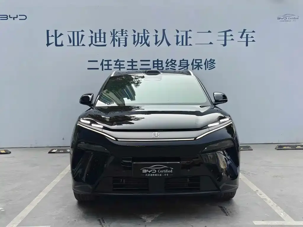 BYD Tang L — фото 1