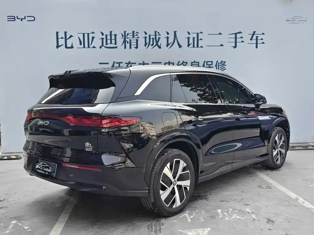 BYD Tang L — фото 3