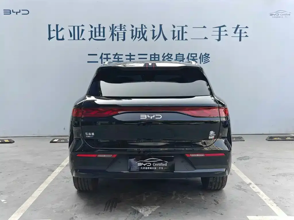 BYD Tang L — фото 8