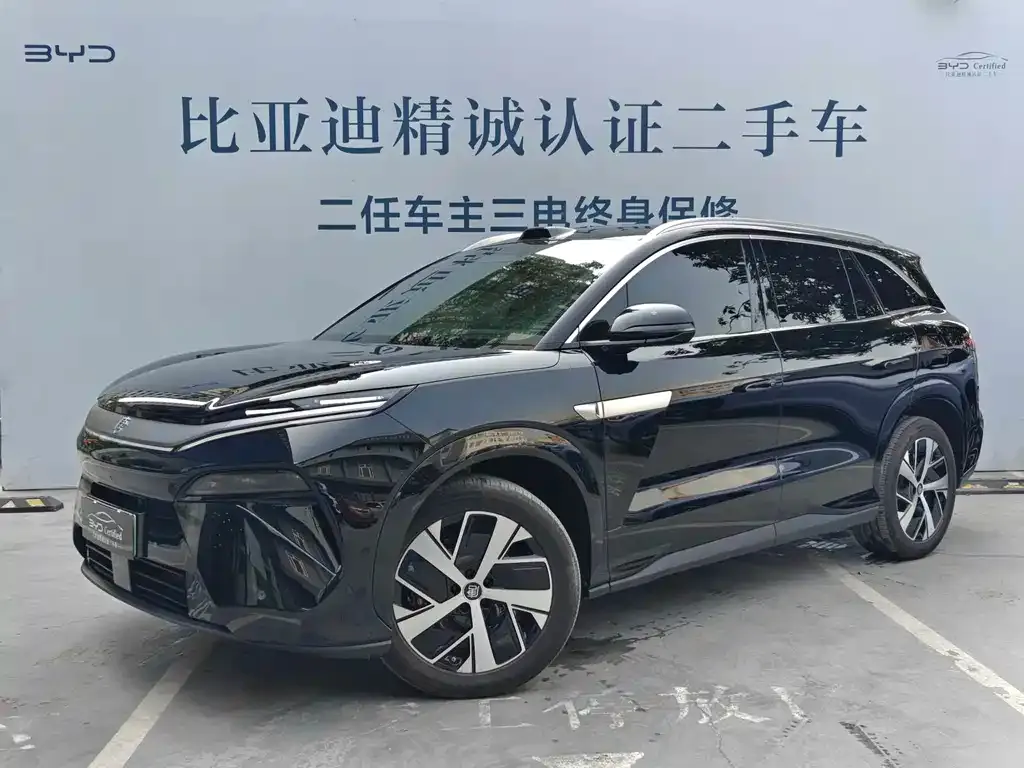 BYD Tang L — фото 7