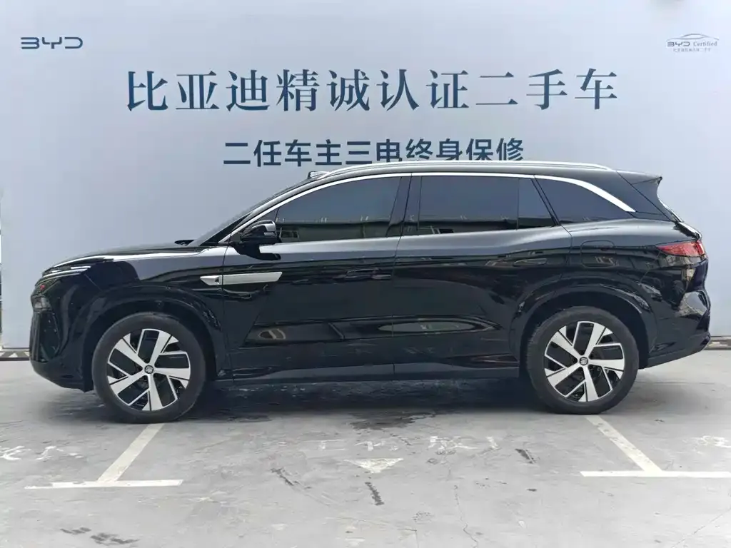 BYD Tang L — фото 6