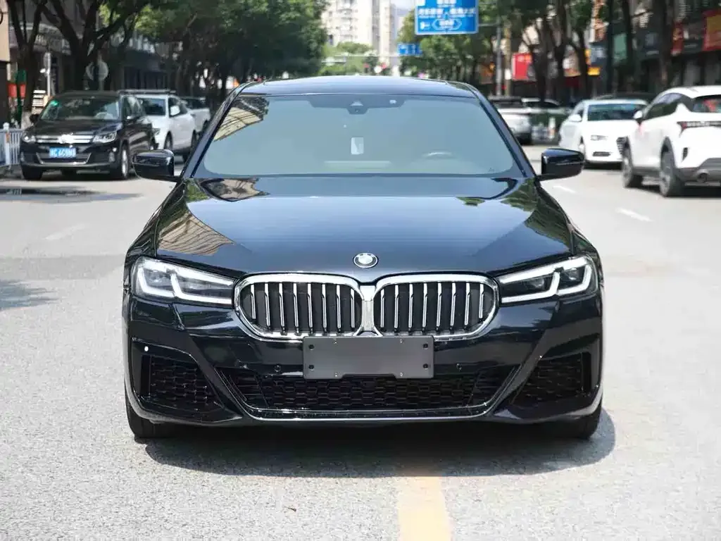 BMW 5 Series (Import) 2022 из CN, фото 5