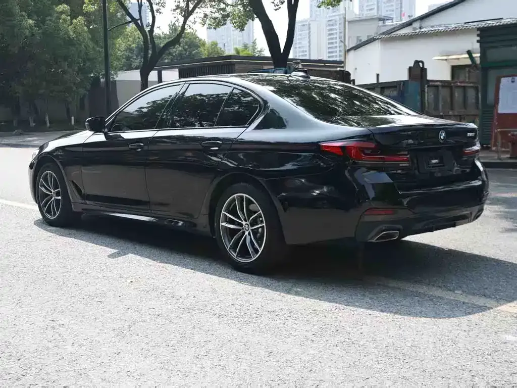 BMW 5 Series (Import) 2022 из CN, фото 8
