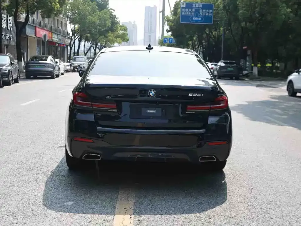 BMW 5 Series (Import) 2022 из CN, фото 3