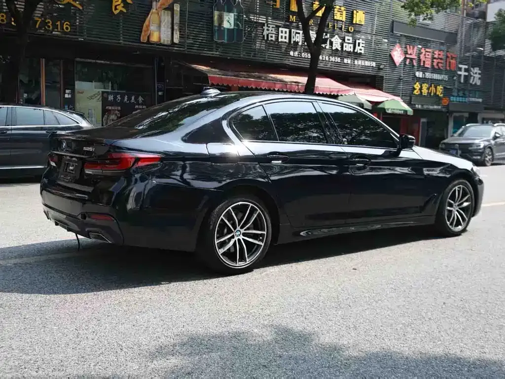BMW 5 Series (Import) 2022 из CN, фото 10