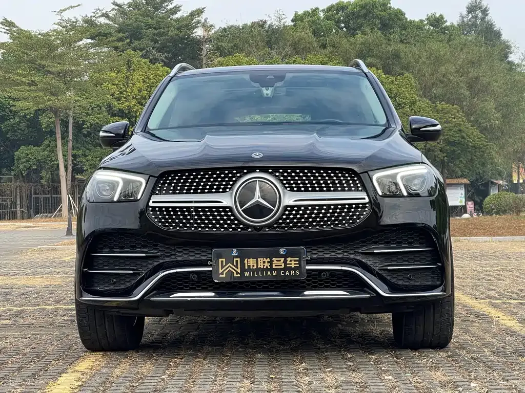 Mercedes-Benz 奔驰GLE(进口) — фото 9