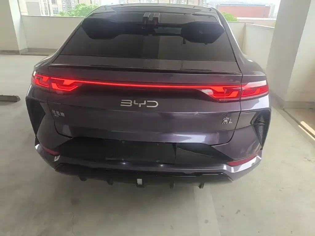 BYD L EV 2024 из CN, фото 7