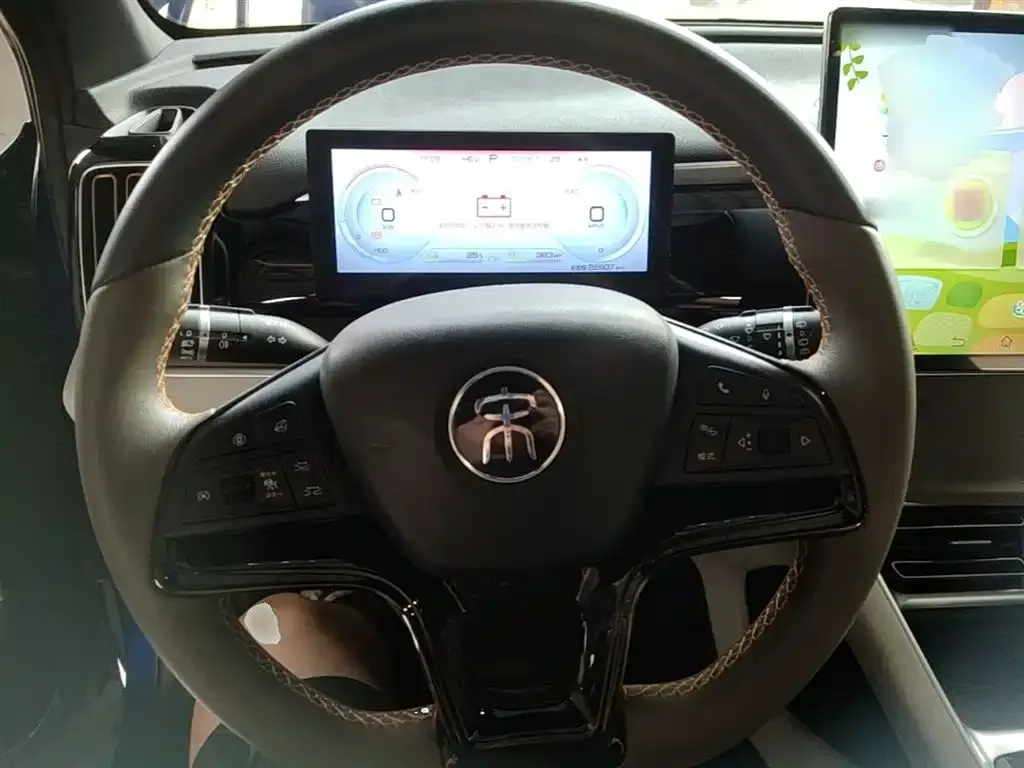 BYD Pro New Energy — фото 4