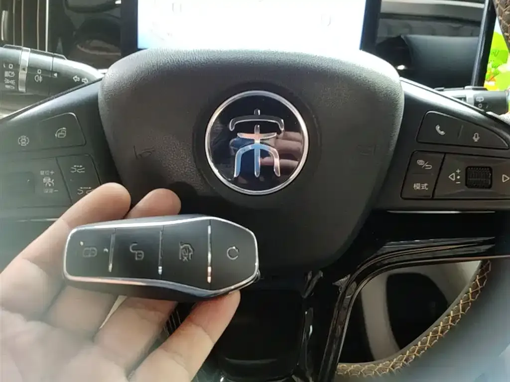 BYD Pro New Energy — фото 2