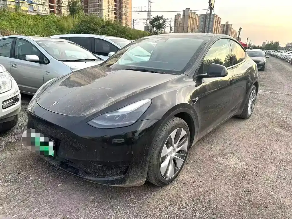 Tesla Model Y — фото 1