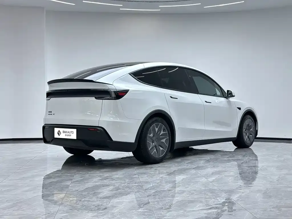 Tesla Model Y L 2025 из CN, фото 6
