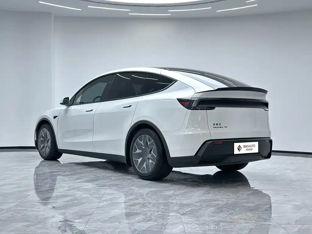Tesla Model Y L 2025 из CN, фото 10