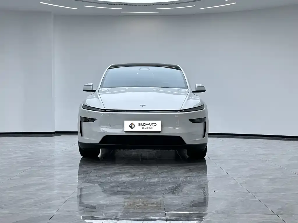 Tesla Model Y L 2025 из CN, фото 2
