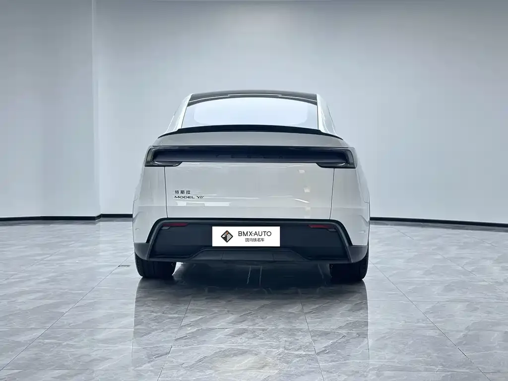 Tesla Model Y L 2025 из CN, фото 4