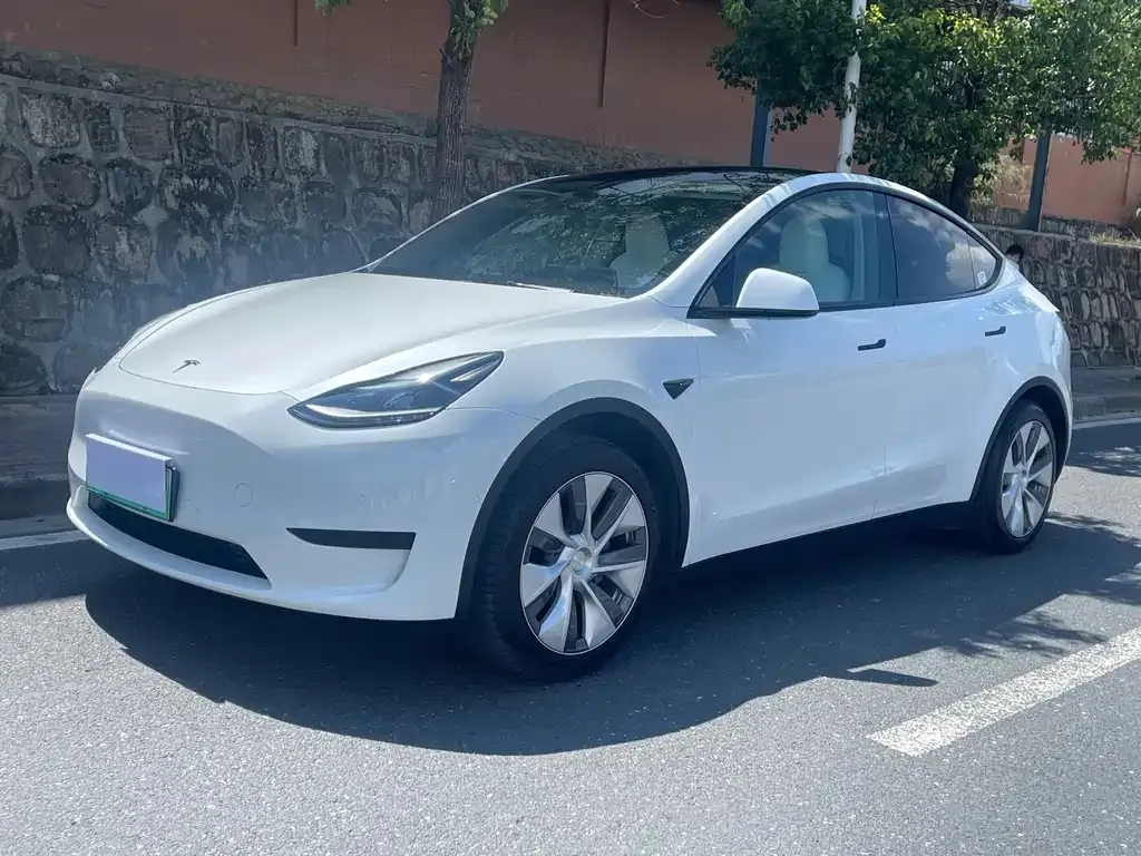 Tesla Model Y — фото 1