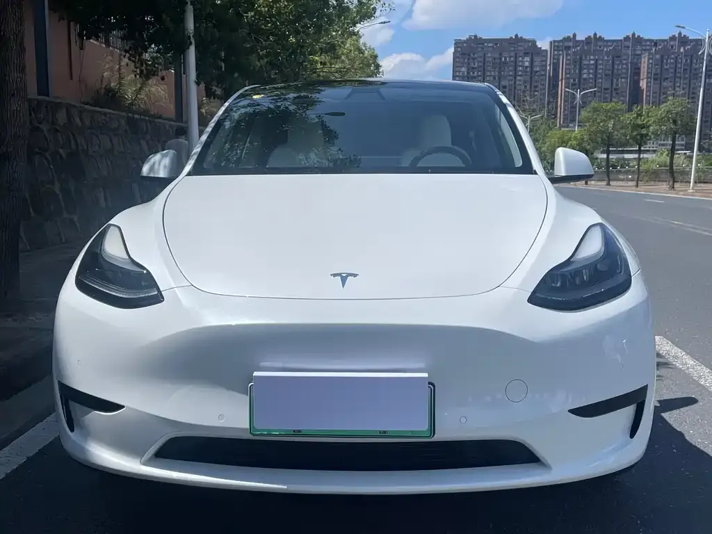 Tesla Model Y — фото 5