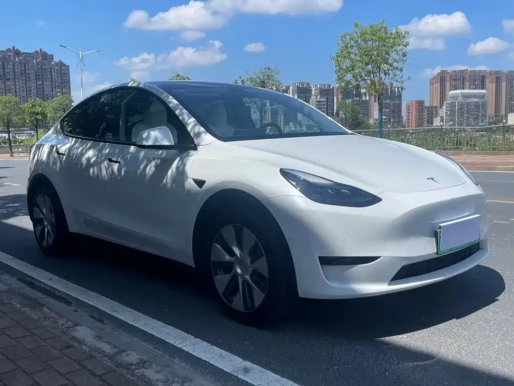 Tesla Model Y — фото 7