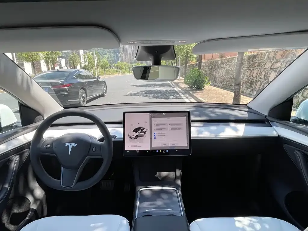 Tesla Model Y — фото 6