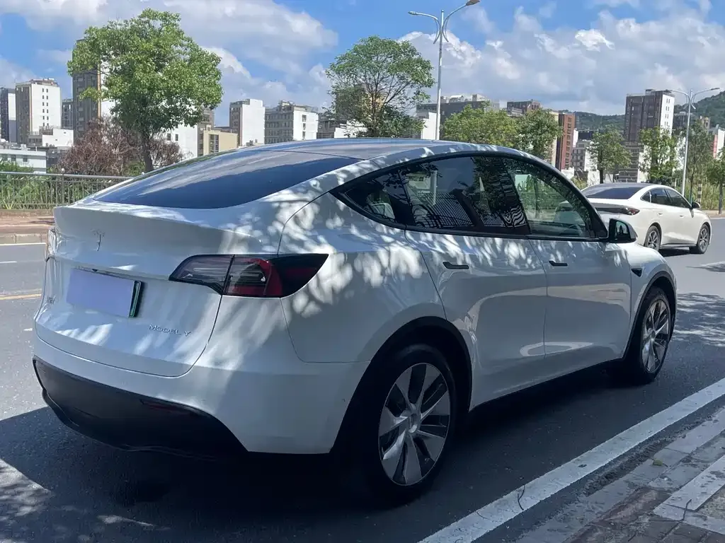 Tesla Model Y — фото 4