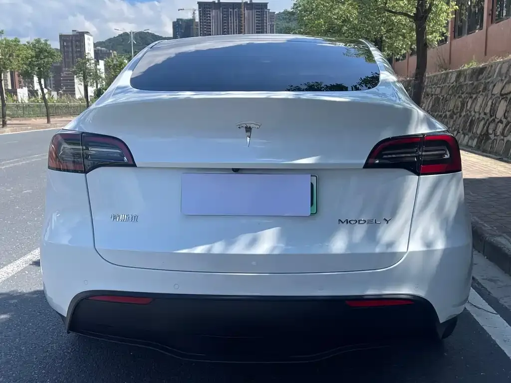 Tesla Model Y — фото 9