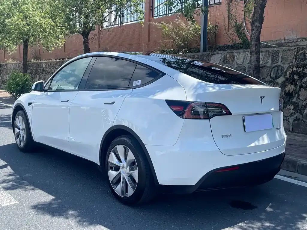 Tesla Model Y — фото 8