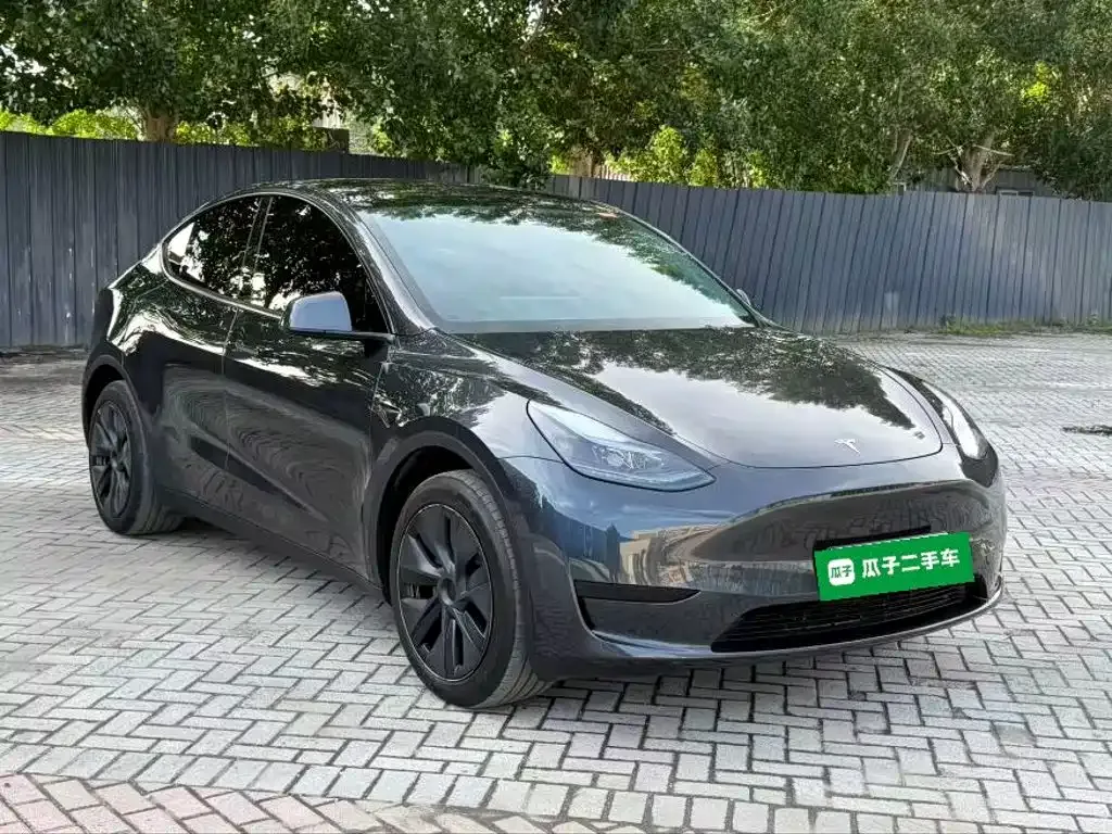 Tesla Model Y — фото 9