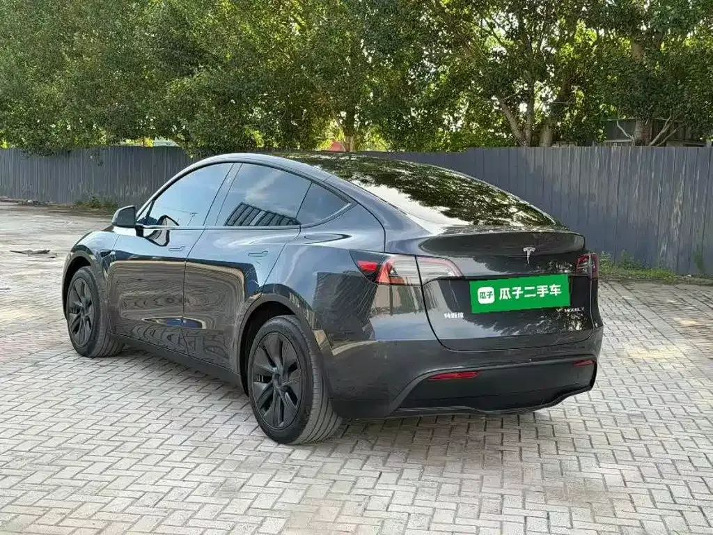 Tesla Model Y — фото 10
