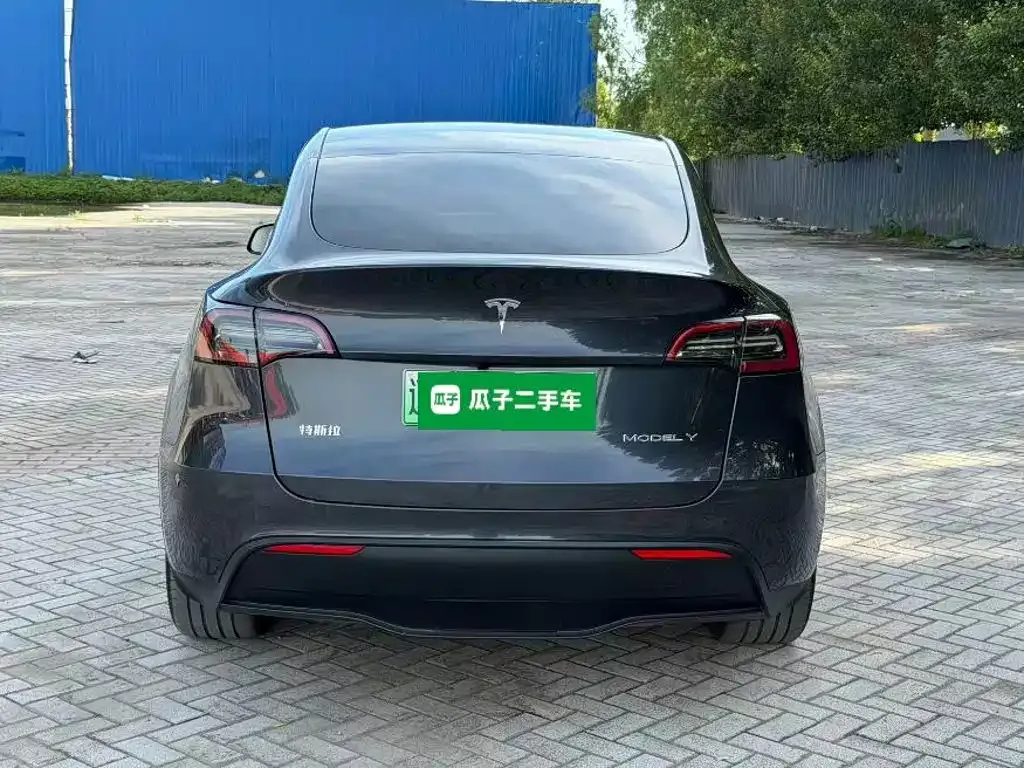 Tesla Model Y — фото 6