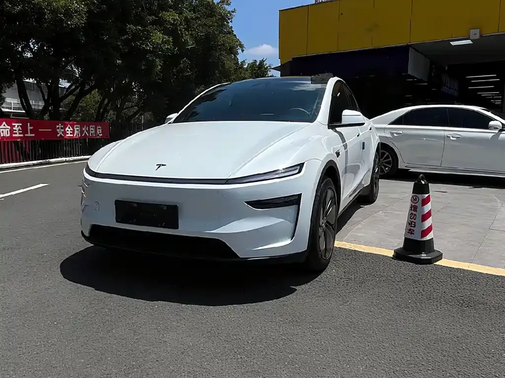 Tesla Model Y 2026 из CN, фото 6
