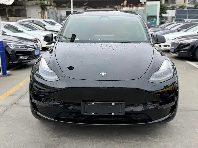 Tesla Model Y — фото 8