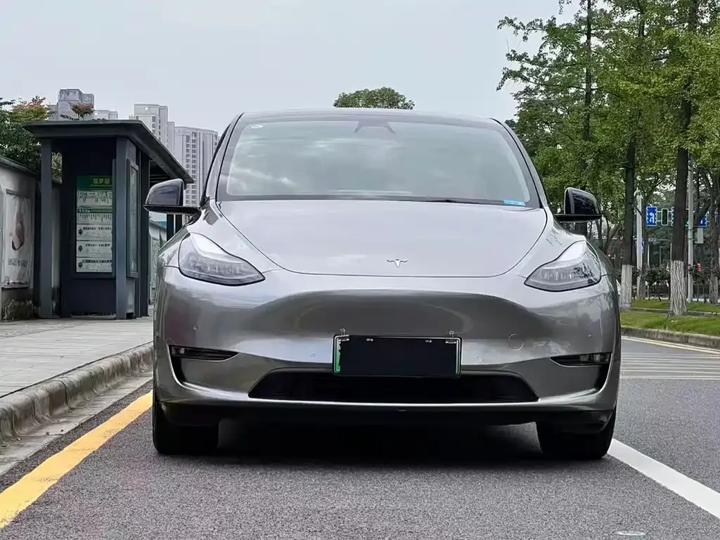 Tesla Model Y — фото 6