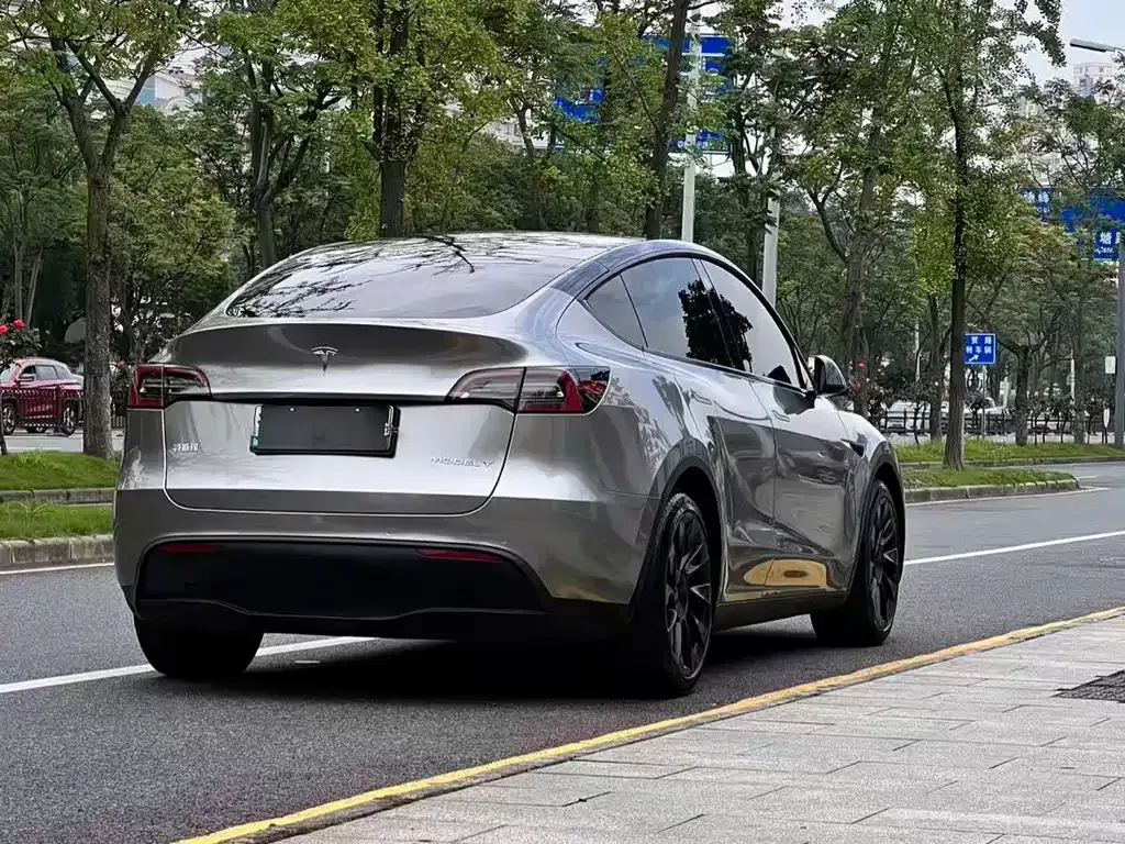 Tesla Model Y — фото 3