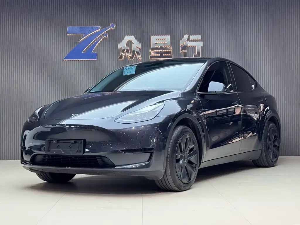 Tesla Model Y — фото 1