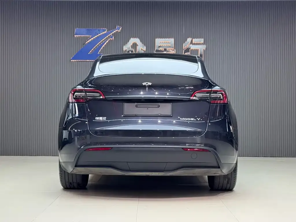 Tesla Model Y — фото 2