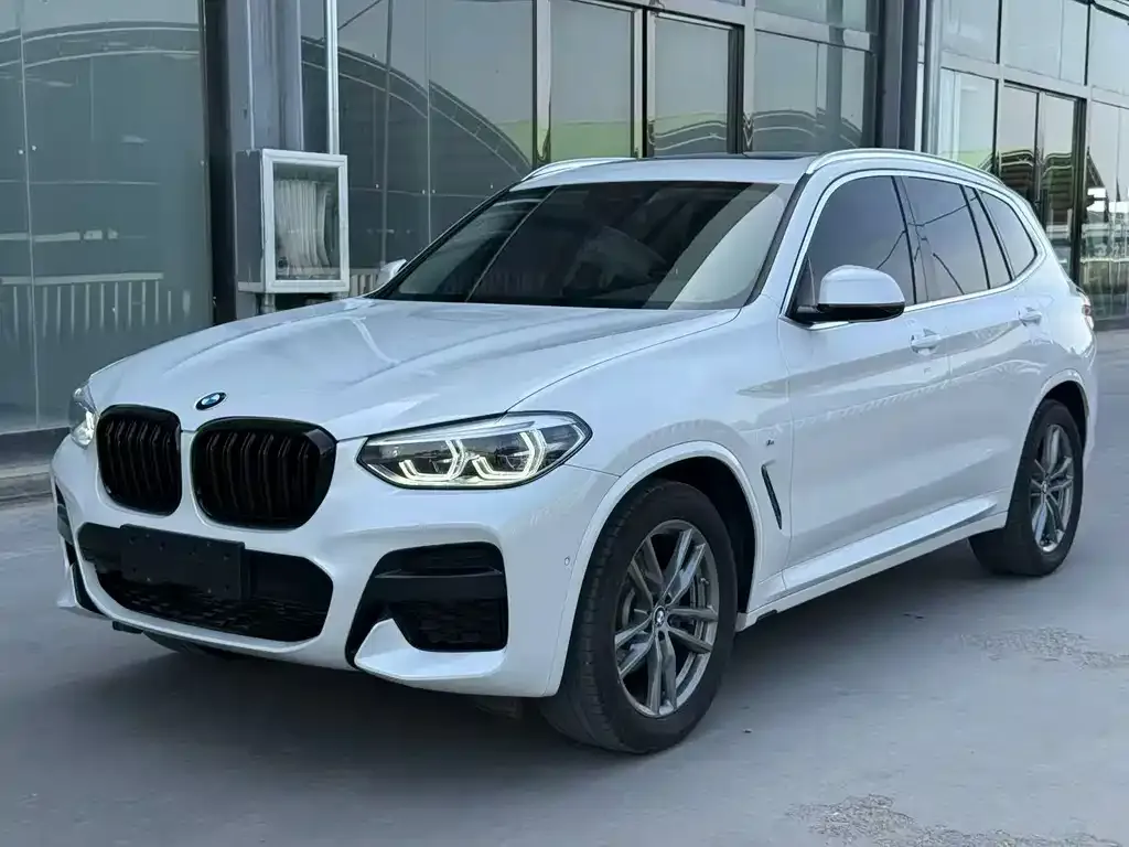 BMW X3 — фото 1